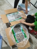 Bào Ngư Y.Fish - Túi 1Kg 18-20 con net 6