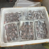 Cá sặc đồng 1 nắng khay 500g