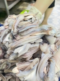 Dè mực nang nhỏ túi 1kg net 8