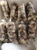 Hào Sữa Tách Vỏ - Túi 500Gr