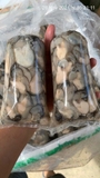 Hào Sữa Tách Vỏ - Túi 500Gr