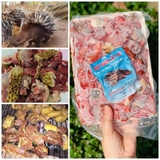 Thịt Nhím Cắt Lát - Khay 1Kg