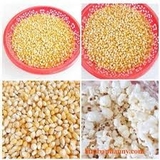 Bắp Mỹ Khô Dùng Làm Bắp Rang Bơ 500g