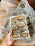 Bào Ngư Hàn Quốc Size 8-10 Con - Túi 500Gr