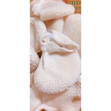 Tổ Ong Bò Luộc Chín Và Làm Sạch - Vỉ 1Kg