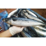 Cá Sapa Nhật - Khay 1kg