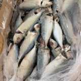 Cá Bạc Má Tươi Ngon Làm Sạch Cấp Đông - Khay 1Kg
