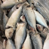 Cá Bạc Má Tươi Ngon Làm Sạch Cấp Đông - Khay 1Kg