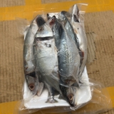 Cá Bạc Má Tươi Ngon Làm Sạch Cấp Đông - Khay 1Kg