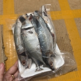 Cá Bạc Má Tươi Ngon Làm Sạch Cấp Đông - Khay 1Kg