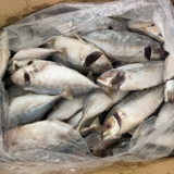 Cá Ngân Tươi Ngon Làm Sạch Cấp Đông - Túi 1Kg