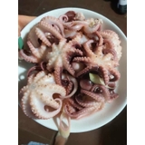 Bạch Tuộc Sữa Baby - Khay 500g