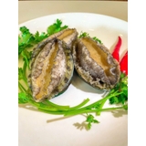 Bào Ngư Y.Fish - Túi 1Kg 18-20 con net 6
