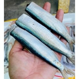 CÁ TRÍCH FILE 1kg