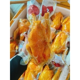 GÀ Ủ MUỐI TEM ĐỎ Không đầu