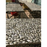 Khô cá sặc đồng non bọc 500g