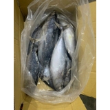 Cá Ngừ nguyên con 1kg