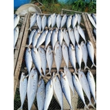 Khô Cá Bè Trang Vị Mặn 1kg
