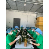Heo rừng núp ống tre ống nặng khoản 700g thịt 300g