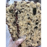 CƠM CHÁY GẠO LỨT RONG BIỂN CHÀ BÔNG TIẾN VUA 180g