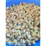Ốc Nhảy size 40-60 con 1kg