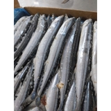 Cá Thu Đao túi 1kg