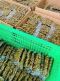 Sấu Omai Bao Tử Giòn Ngon bịch 400gr