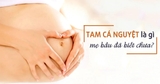 Tam Cá Nguyệt Là Gì? Những Thay Đổi Quan Trọng Ở Mẹ Và Bé Theo Từng Giai Đoạn