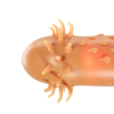 bao-don-silicon-octopus-gai-gan-noi-da-ket-cau-co-gian-tang-khoai-cam