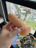 dildo-mini-gan-tuong-jiuai-bam-dinh-chac-chan