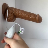 duong-vat-gia-gan-tuong-dieu-khien-tu-xa-tho-thut-chan-that