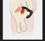 may-rung-hau-mon-deo-trong-quan-lot-rung-manh-dieu-khien-tu-xa