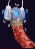 may-tap-duong-vat-massage-tu-dong-ren-luyen-lau-ra
