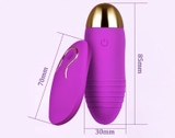 trung-rung-dieu-khien-tu-xa-sac-pin-10-che-do
