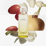 HERMES Un Jardin De Monsieur Li