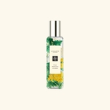 JO MALONE Wild Achillea