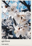 CLIVE CHRISTIAN CROWN COLLECTION CRAB APPLE BLOSSOM