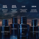 DIOR SAUVAGE ELIXIR
