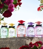DOLCE & GABBANA Dolce Rose