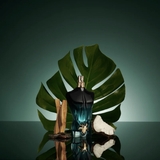 JEAN PAUL GAULTIER Le Beau Le Parfum