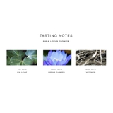 JO MALONE Fig & Lotus Flower