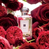 JO MALONE Red Roses