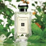 JO MALONE Basil & Neroli