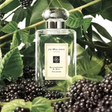 JO MALONE Blackberry & Bay