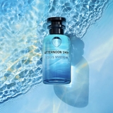 LOUIS VUITTON Afternoon Swim