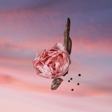 LOUIS VUITTON Les Sables Roses