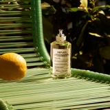 MAISON MARGIELA Replica Under The Lemon Trees