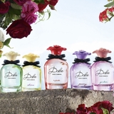 DOLCE & GABBANA Dolce Shine