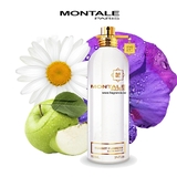 MONTALE Sunset Flowers