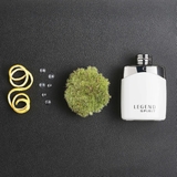 MONTBLANC Legend Spirit